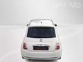 Fiat 500 Diesel Sport-Paket Teil-Leder 8fach 1. Hand TÜV Weiß - thumbnail 8