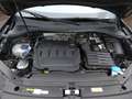 Volkswagen Tiguan 2.0 TDI DSG Life STANDHZ+PANO+NAVI Klima Navi Noir - thumbnail 9