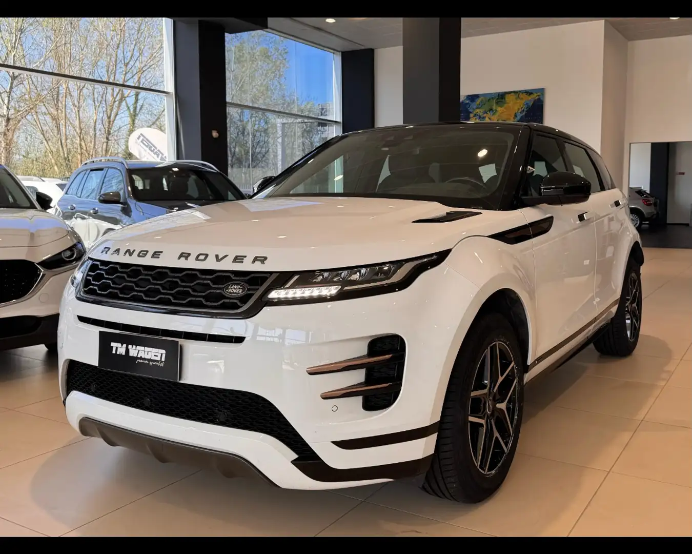 Land Rover Range Rover Evoque 2.0D I4 150CV AWD Auto R-Dynamic 4x4 2020 Grigio - 1