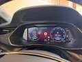 Skoda Octavia RS 4x4 Grau - thumbnail 15
