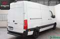 Mercedes-Benz Sprinter 317 CDI KASTEN L2H2 KAMERA 30x ON STOCK Weiß - thumbnail 2