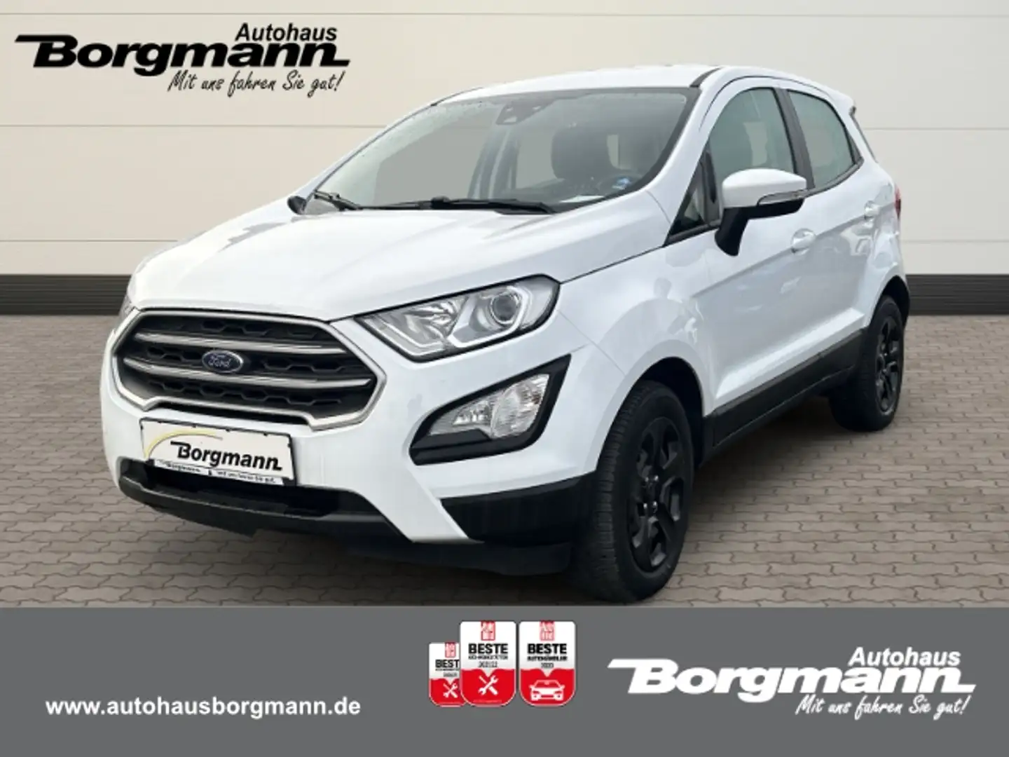 Ford EcoSport Cool&Connect 1.0 - Rückfahrkamera uvm. Blanc - 1