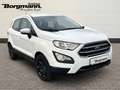 Ford EcoSport Cool&Connect 1.0 - Rückfahrkamera uvm. Blanc - thumbnail 3