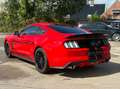Ford Mustang FASTBACK V8 5.0 421 GT coupé Rouge - thumbnail 2