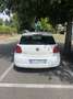 Volkswagen Polo 5p 1.2 tdi Comfortline - thumbnail 4