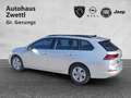 Volkswagen Golf VIII 2,0 TDI Life Silber - thumbnail 4