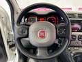 Fiat Panda Panda 1.3 MJT S&S 4x4 Bianco - thumbnail 7