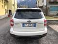 Subaru Forester Forester 2.0i-L Exclusive bi-fuel cvt White - thumbnail 2