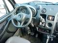 Aixam Pro D-Truck E5+ Pritsche/fahren ab 15 J./AHK Bleu - thumbnail 9