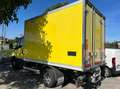 Iveco Daily 60C HI-MATIC FRIGO FRCX -20° Gelb - thumbnail 3