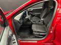 Ford Focus 1.5 EcoBlue ST-Line X 120cv Auto Rouge - thumbnail 14