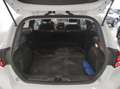 Ford Fiesta 1.0 MHEV 125 CV 3 porte Van Trend Wit - thumbnail 11