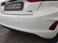 Ford Fiesta 1.0 MHEV 125 CV 3 porte Van Trend Wit - thumbnail 5