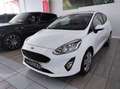 Ford Fiesta 1.0 MHEV 125 CV 3 porte Van Trend Wit - thumbnail 2