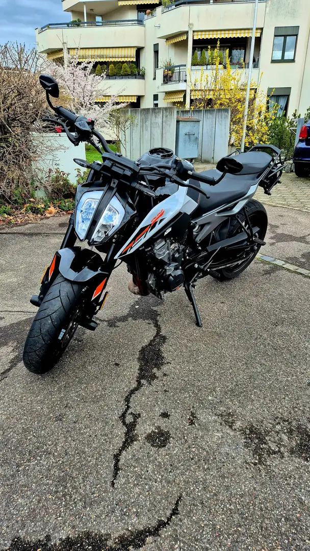 KTM 790 Duke Gri - 1