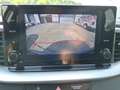 Kia Ceed SW / cee'd SW 1.5 T-GDI DCT Vision Blau - thumbnail 18