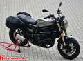 Benelli Leoncino 800 Brun - thumbnail 1