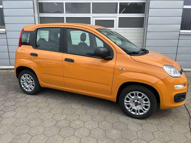 Fiat Panda Easy