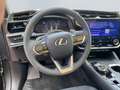 Lexus RZ 450e Luxury Paket *360°*Pano dimmbar*20Zoll* Grau - thumbnail 12