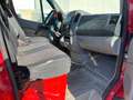 Mercedes-Benz Sprinter II Kasten 213 CDI Rot - thumbnail 12