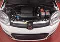 Fiat Panda 1.2 LPG * Airco* V/E *1 an Garantie * 220€ X 36 Wit - thumbnail 11