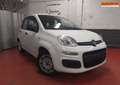 Fiat Panda 1.2 LPG * Airco* V/E *1 an Garantie * 220€ X 36 Wit - thumbnail 1