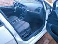 Volkswagen Golf Allstar BMT 1.2 TSI Weiß - thumbnail 25