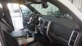 Dodge RAM 1500 HEMI 5.7 * Crew-Cab*4x4*hoch+breit*AHK Weiß - thumbnail 10