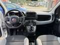 Fiat Panda City Cross / Airco / Ecran / Bluetooth / Garantie Wit - thumbnail 13