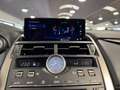 Lexus NX 300 2.5 Hybrid 4WD Premium PRONTA IN SEDE Gris - thumbnail 12