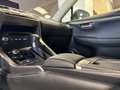 Lexus NX 300 2.5 Hybrid 4WD Premium PRONTA IN SEDE Gris - thumbnail 15