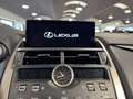 Lexus NX 300 2.5 Hybrid 4WD Premium PRONTA IN SEDE Gris - thumbnail 21