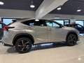 Lexus NX 300 2.5 Hybrid 4WD Premium PRONTA IN SEDE Gris - thumbnail 20