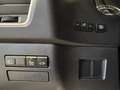 Lexus NX 300 2.5 Hybrid 4WD Premium PRONTA IN SEDE Gris - thumbnail 33