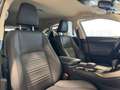 Lexus NX 300 2.5 Hybrid 4WD Premium PRONTA IN SEDE Gris - thumbnail 41