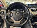 Lexus NX 300 2.5 Hybrid 4WD Premium PRONTA IN SEDE Gris - thumbnail 4