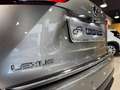 Lexus NX 300 2.5 Hybrid 4WD Premium PRONTA IN SEDE Gris - thumbnail 25