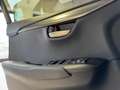 Lexus NX 300 2.5 Hybrid 4WD Premium PRONTA IN SEDE Gris - thumbnail 34