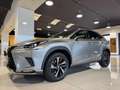 Lexus NX 300 2.5 Hybrid 4WD Premium PRONTA IN SEDE Gris - thumbnail 1