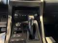 Lexus NX 300 2.5 Hybrid 4WD Premium PRONTA IN SEDE Gris - thumbnail 29