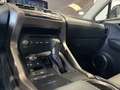 Lexus NX 300 2.5 Hybrid 4WD Premium PRONTA IN SEDE Gris - thumbnail 10