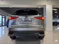 Lexus NX 300 2.5 Hybrid 4WD Premium PRONTA IN SEDE Gris - thumbnail 17