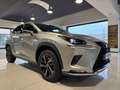 Lexus NX 300 2.5 Hybrid 4WD Premium PRONTA IN SEDE Gris - thumbnail 22