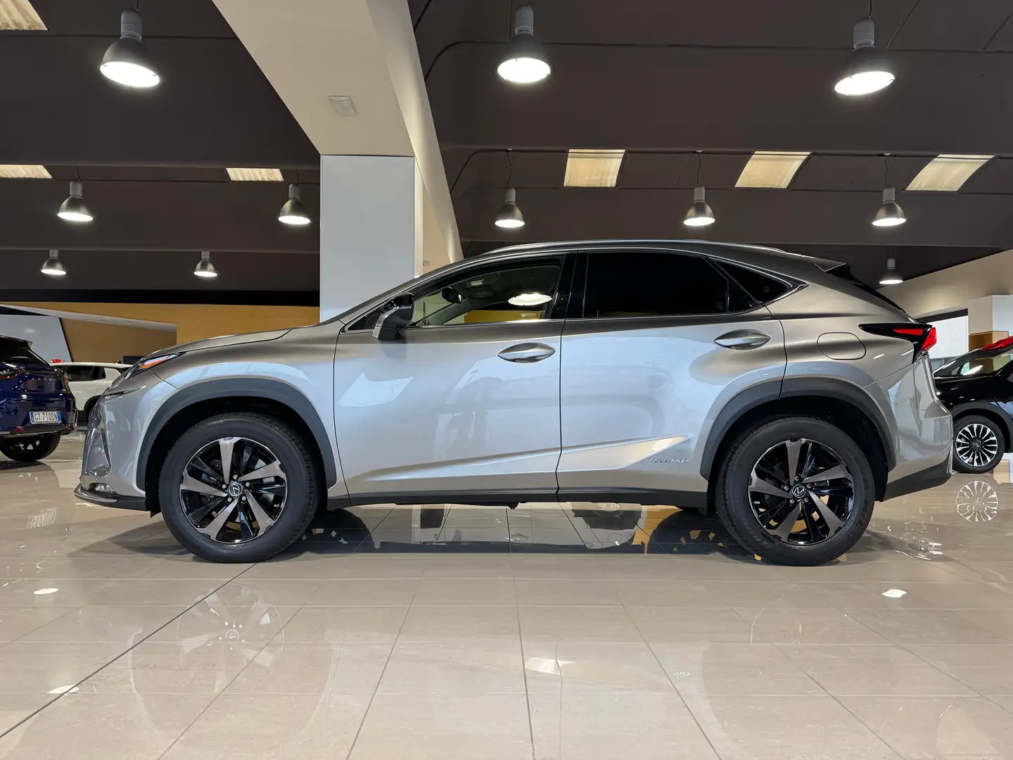 Lexus NX 300 2.5 Hybrid 4WD Premium PRONTA IN SEDE Gris - 2