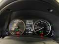 Lexus NX 300 2.5 Hybrid 4WD Premium PRONTA IN SEDE Gris - thumbnail 30