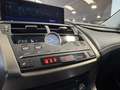 Lexus NX 300 2.5 Hybrid 4WD Premium PRONTA IN SEDE Gris - thumbnail 13