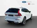 Volvo XC60 B4 D AWD Aut. Plus Dark +ACC +Voll-LED Bianco - thumbnail 6