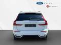 Volvo XC60 B4 D AWD Aut. Plus Dark +ACC +Voll-LED Bianco - thumbnail 7