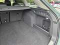Volkswagen Passat Variant 1,5 eTSI ACT Business DSG Grün - thumbnail 16
