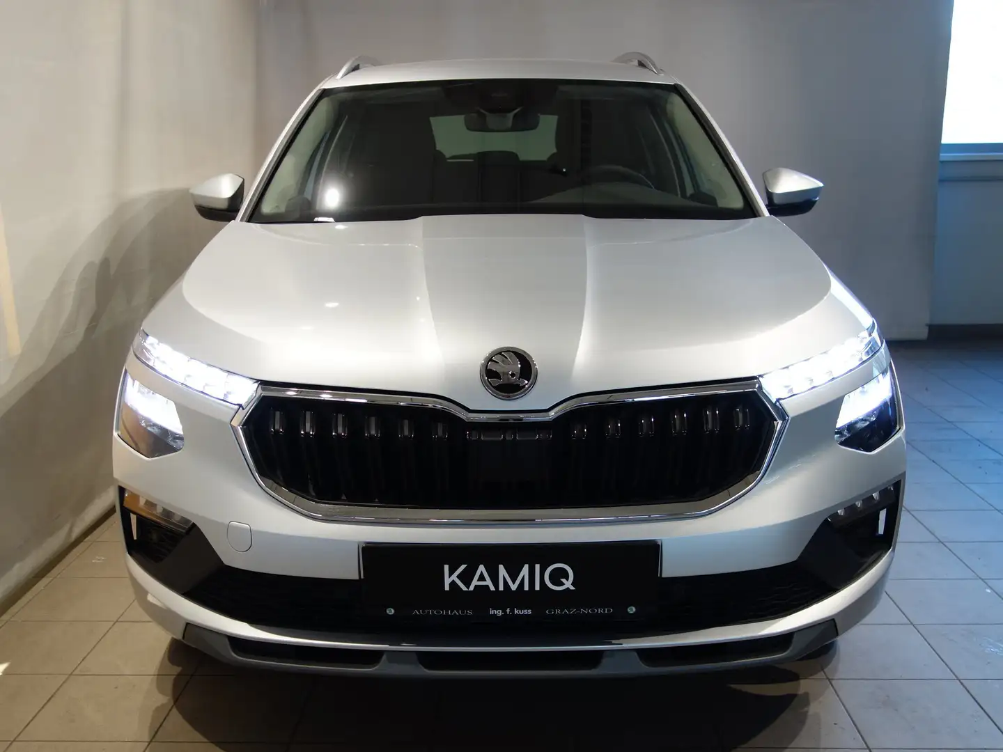 Skoda Kamiq Selection TSI DSG Grau - 2